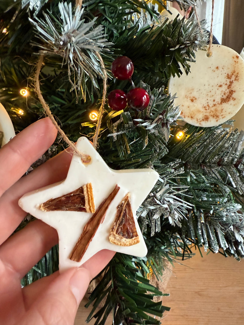 Scented Hanging Wax Melt Decoration - Noël